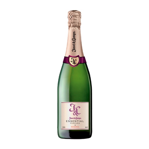 Juve Y Camp Cinta Purpura Brut 