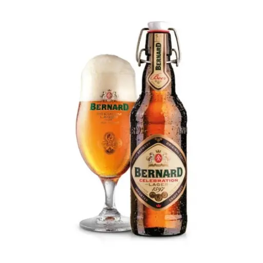 Bernard Celebration